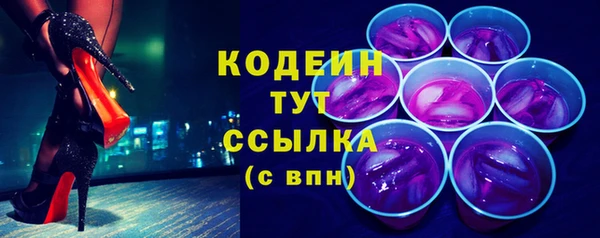 мдпв Верея