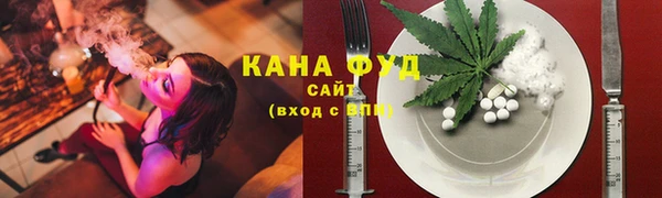 мдпв Верея