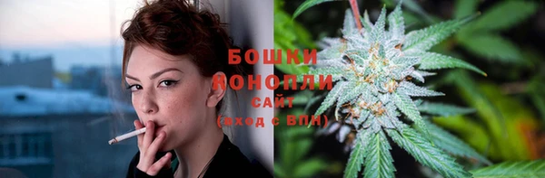 мдпв Верея