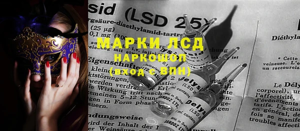 спиды Богородицк