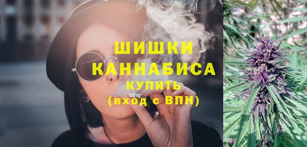 мдпв Верея