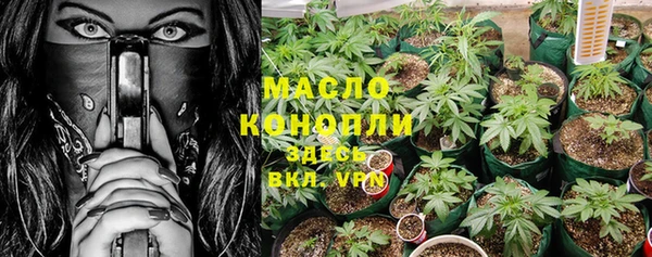 мдпв Верея