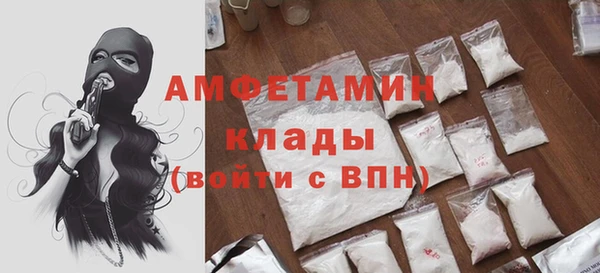 мдпв Верея