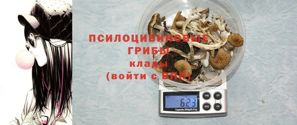 spice Верхний Тагил