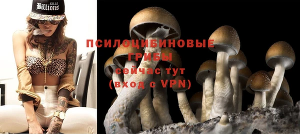 spice Верхний Тагил